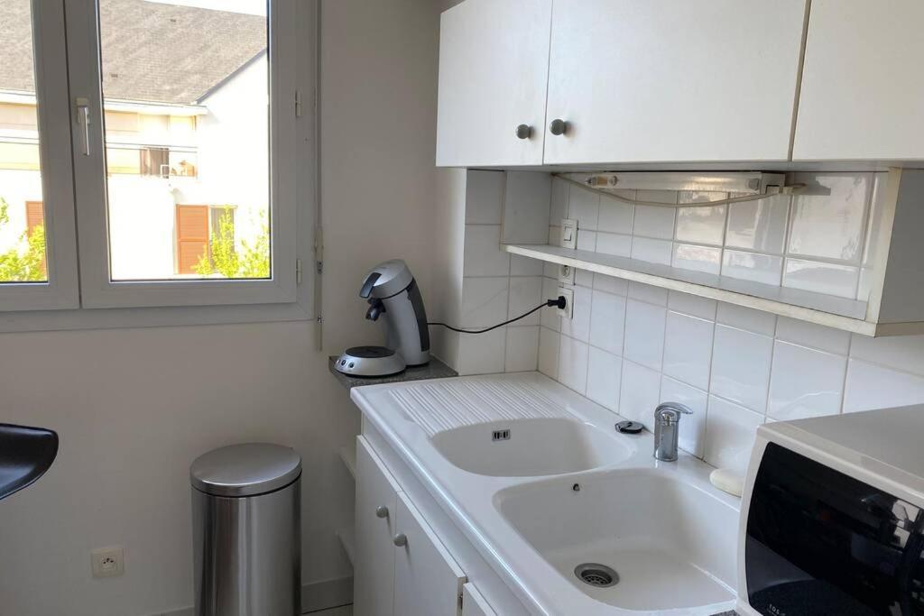 Charmant Appartement En Bord De Cher Saint-Avertin Esterno foto
